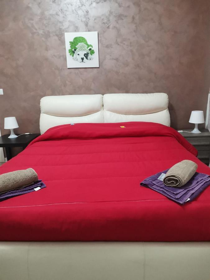 Bed & Breakfast Bed&fly Near Airport Fontanarossa Bagno Privato In *